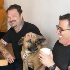 Steve-O arrasa en TikTok con Bam Margera y Tony Hawk