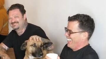 Bam Margera y Steve-O junto a un perro en una cafetería.