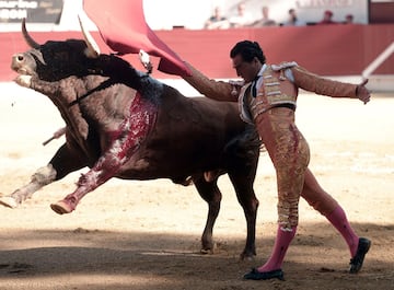 El torero Iván Fandiño recibió una cornada mortal de un toro de la ganadería Baltasar Ibán en la plaza francesa de Aire Sur L'Adour, 