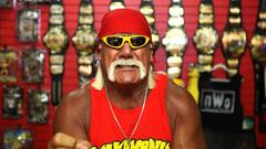 Hulk Hogan recibirá 31 millones por su vídeo sexual