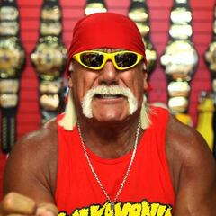 Hulk Hogan recibirá 140 millones por su vídeo sexual