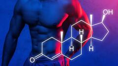 Síntesis proteica: te explicamos cómo puedes aumentar al máximo tu ganancia de masa muscular