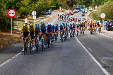 El pelotón durante la decimoquinta etapa.