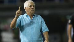 Julio Comesa&ntilde;a, t&eacute;cnico de Junior