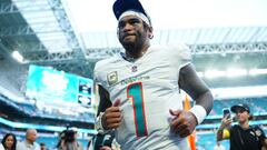 Dolphins resurgen de las cenizas, previo a su juego en el Bernabéu