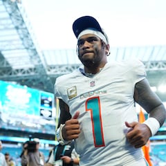 Dolphins resurgen de las cenizas, previo a su juego en el Bernabéu