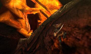 Captura de pantalla - Monster Hunter 4 (3DS)