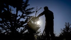 2021 Black Friday: Best Christmas tree deals