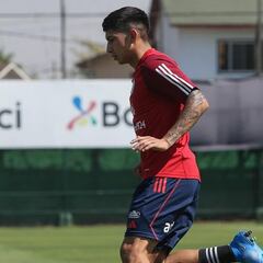 “Me estaba cambiando de casa y me enteré del llamado a la Roja”