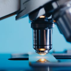 Detectan una subvariante de Ómicron con más mutaciones