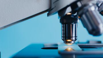 Detectan una subvariante de Ómicron con más mutaciones.