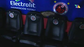 Tlacuache invade El Pirata en el Veracruz vs Pumas