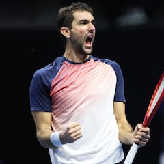 Marin Cilic revive para ganar el vigésimo título de su carrera