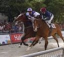 "Fue precioso ver los caballos desde tan cerca en la Castellana"