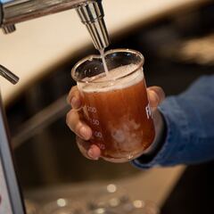 Cruzcampo fabricará su cerveza con el sol de Sevilla