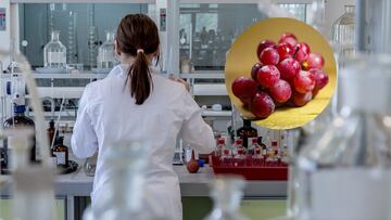 Topan con la clave para llegar a los 150 años en el alimento más cotidiano y arrancan los ensayos en humanos