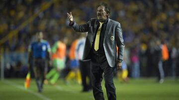 La Volpe: "Tigres no necesitaba la ayuda del árbitro"