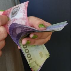 Bolsillo Electrónico Familiar: ¿Cuándo es el último pago de noviembre y quiénes lo reciben?