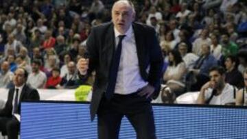 Pablo Laso, el domingo pasado en el Palacio.