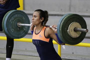 La Selección Colombia de voleibol femenina se prepara para el Preolímpico que se disputará en el Coliseo El Salitre del 6 al 9 de enero. Se enfrentará en sistema de todos contra todos a Argentina, Perú y Venezuela. 