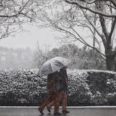 Nevada histórica en Madrid: hasta cuándo durará