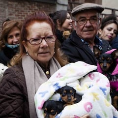 ¿Por qué San Antón es el patrón de los animales?