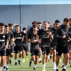 Diez razones por las que el Málaga debe ir a por el playoff y no relajarse