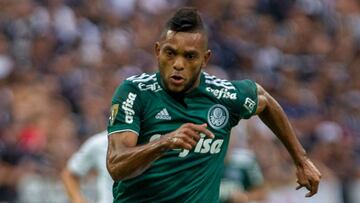 Palmeiras apelará decisión de FIFA en caso de Miguel Borja