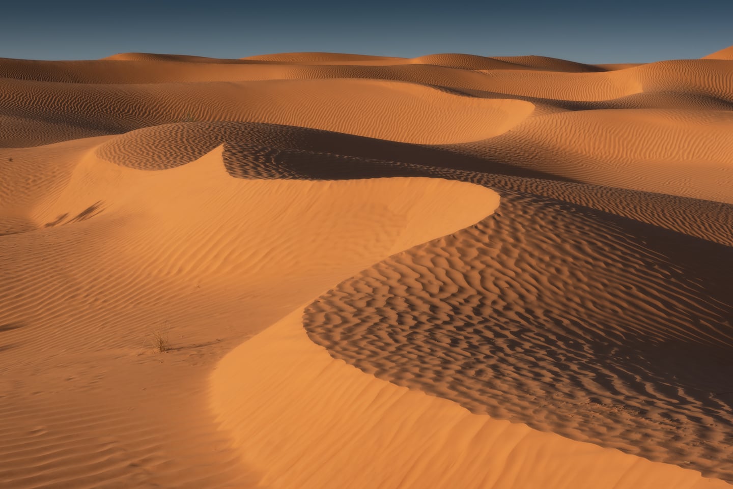 Scientists venture into a cave and discover that the Sahara of ...