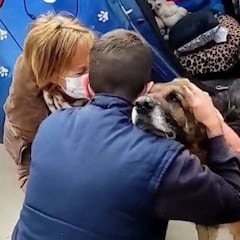 Un perro regresa a su casa más de seis años después