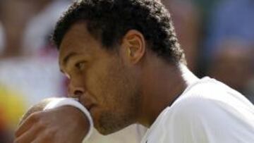 Tsonga, el líder francés contra España, con molestias