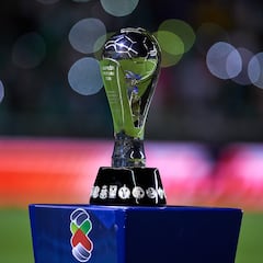 ¿Cuántos años lleva tu equipo sin ser campeón de Liga MX?