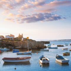 En Estados Unidos se fijan en una isla española para hacer turismo: “Hay más gatos que personas”