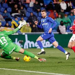 Una segunda golondrina asoma el pico