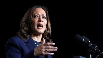 Kamala Harris ha conseguido los votos necesarios para convertirse en la candidata presidencial demócrata. Aceptará la nominación la próxima semana.