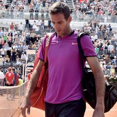 Del Potro, duda hasta última hora para Roland Garros