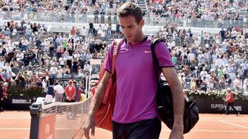 Del Potro, duda hasta última hora para Roland Garros