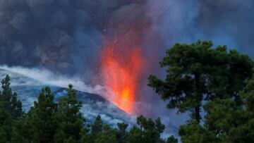 la palma