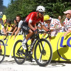Nairo, Rigo Urán y Dani Martínez ceden más tiempo con Pogacar