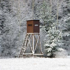 La precaución es la fiel compañera del cazador