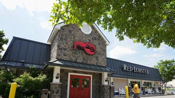 Red Lobster se ha declarado en bancarrota. Te explicamos por qué y qué pasará con la cadena de restaurantes de productos del mar.