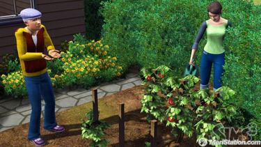 Los Sims 3, Impresiones