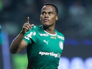 Arias fue la gran figura de Palmeiras frente a Botafogo y Ferreira lo elogió.