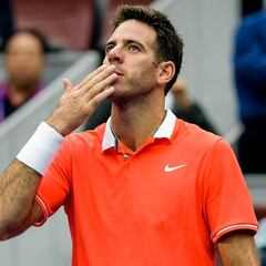 Del Potro into China Open final after Fognini withdraws