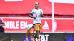 Eduardo Vargas, Tigres