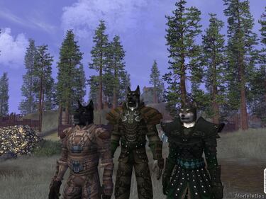 Vanguard: Saga of Heroes debutará a final de mes