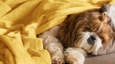 Cálida y suave: así es la manta de franela para sofá más vendida