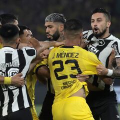 Peñarol y Botafogo jugarán en el Centenario con afición visitante