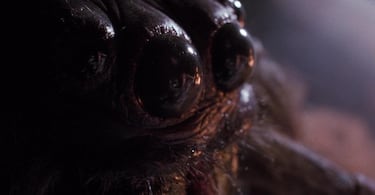 El director de ‘Aracnofobia’ obligó a las arañas a pasar un casting