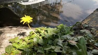 Review del Moto G5 Plus: Ideal para el día a día y un poco más